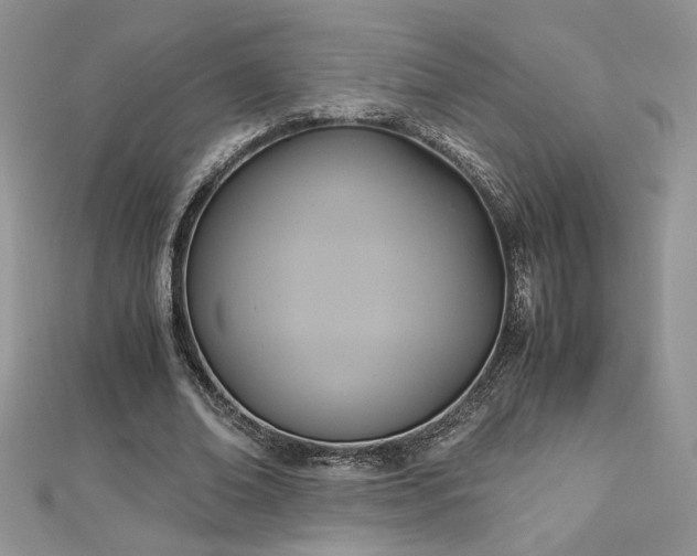 X0000113140678200909041209