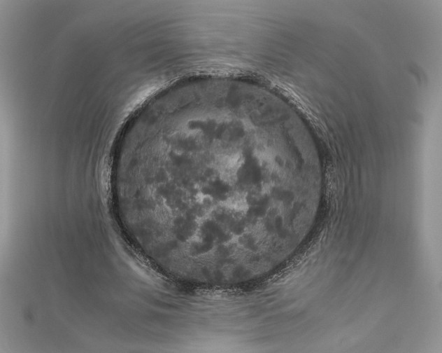 X0000113140679200909041209