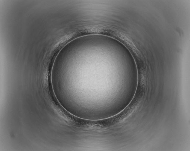 X0000113140681200909041209