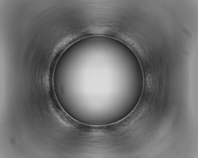X0000113140682200909041209