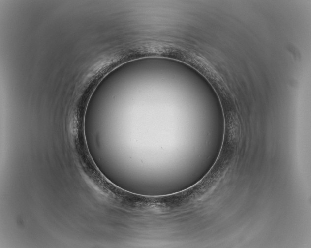 X0000113140683200909041209