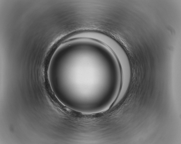 X0000113140684200909041209