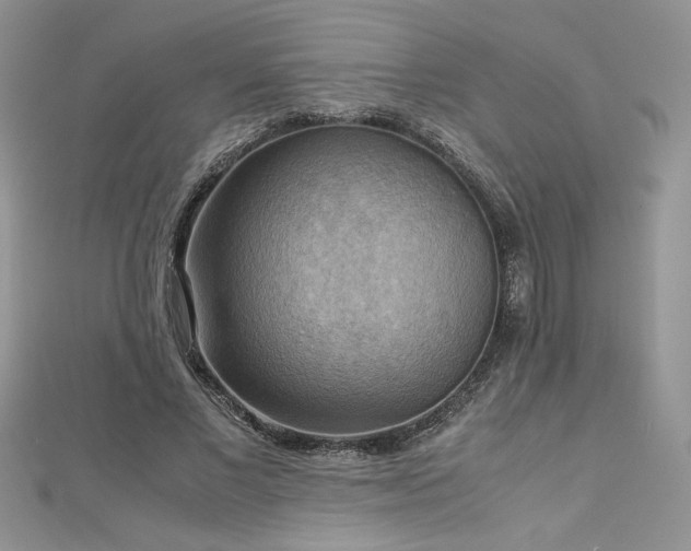 X0000113140685200909041209