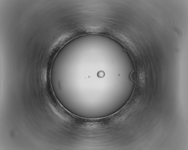 X0000113140686200909041209