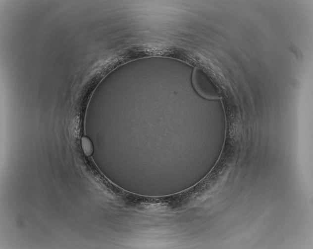 X0000113140689200909041209