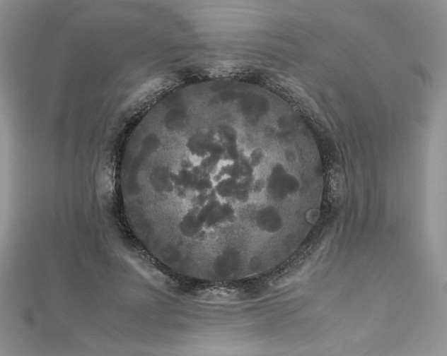 X0000113140691200909041209