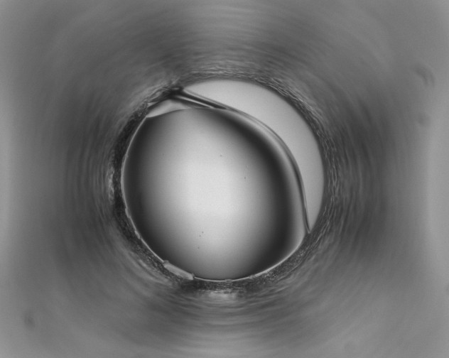X0000113140692200909041209