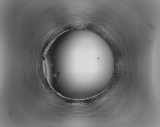 X0000113140693200909041209