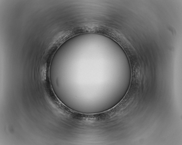 X0000113140694200909041209