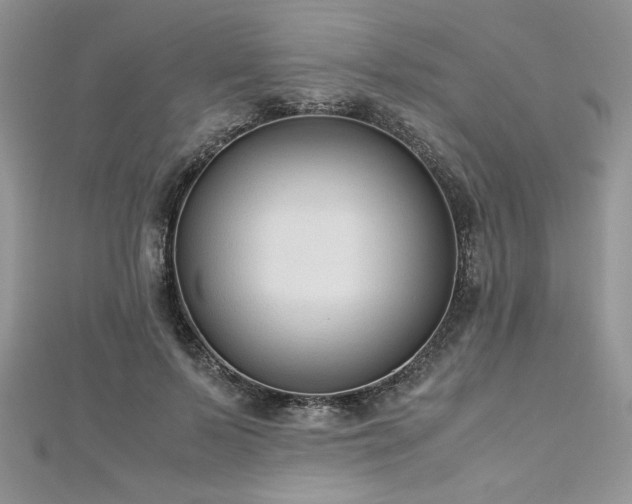 X0000113140695200909041209