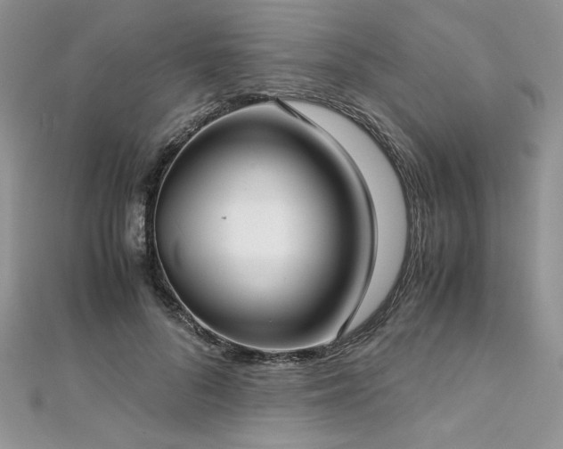 X0000113140696200909041209
