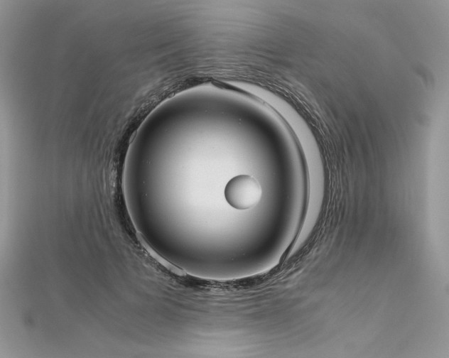 X0000113140697200909041209