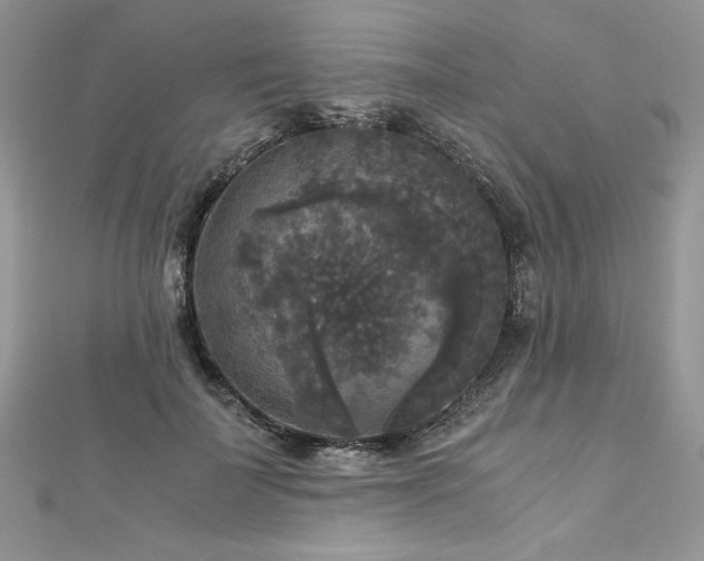 X0000113140699200909041209