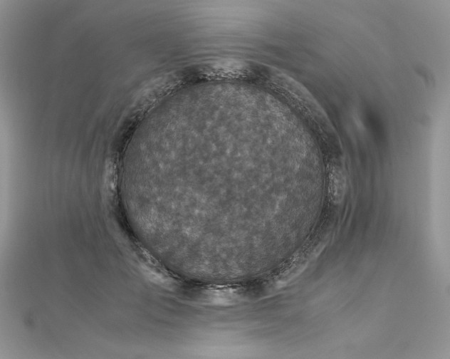 X0000113140701200909041209