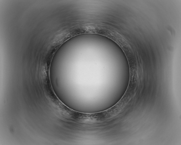 X0000113140702200909041209