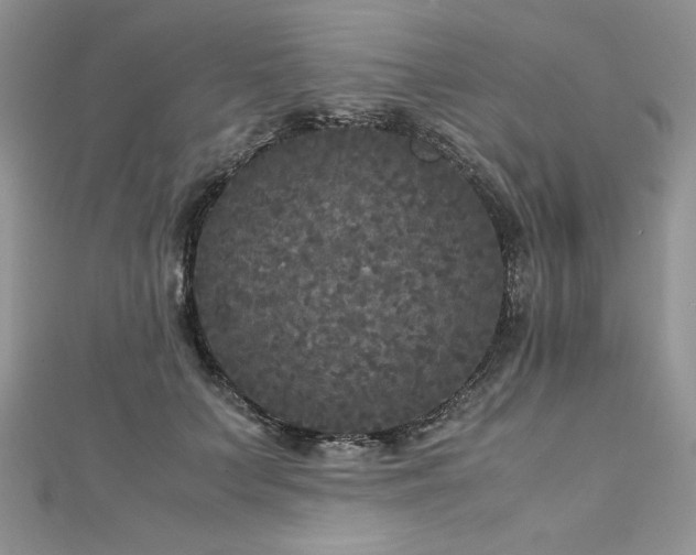 X0000113140703200909041209