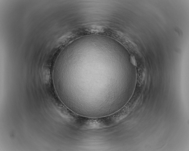 X0000113140704200909041209