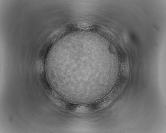 X0000113140705200909041209
