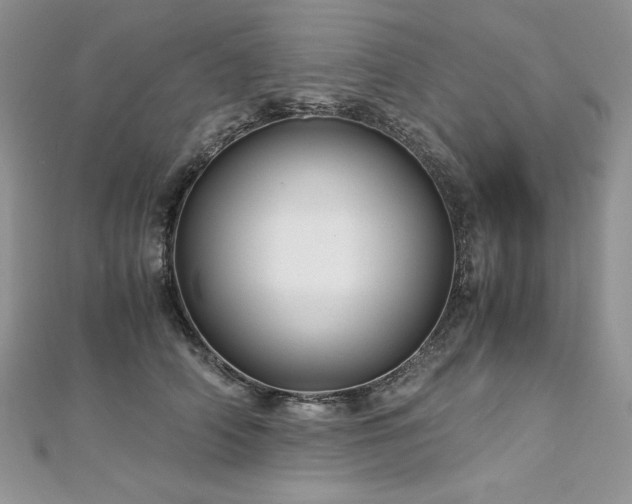 X0000113140706200909041209