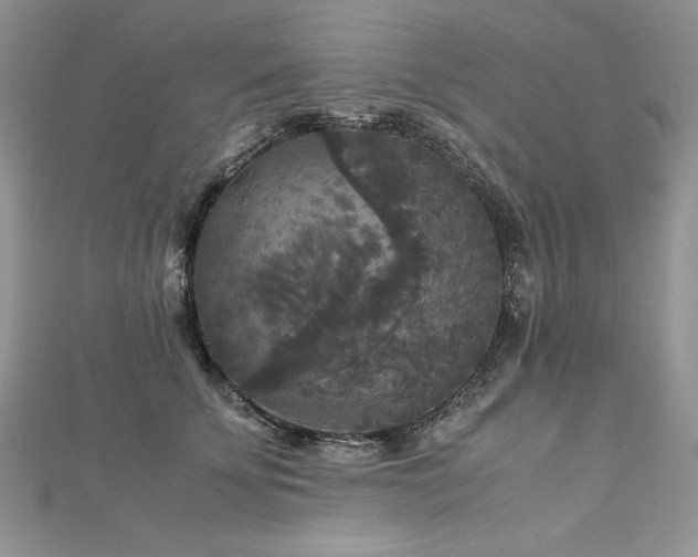 X0000113140707200909041209