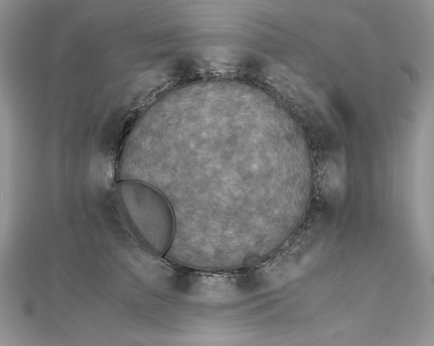 X0000113140709200909041209