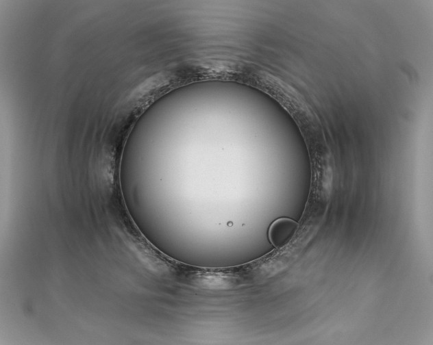 X0000113140710200909041209