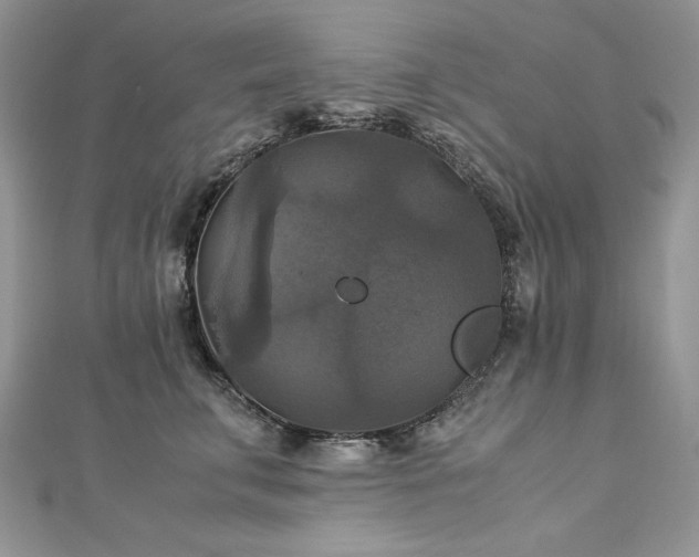 X0000113140711200909041209