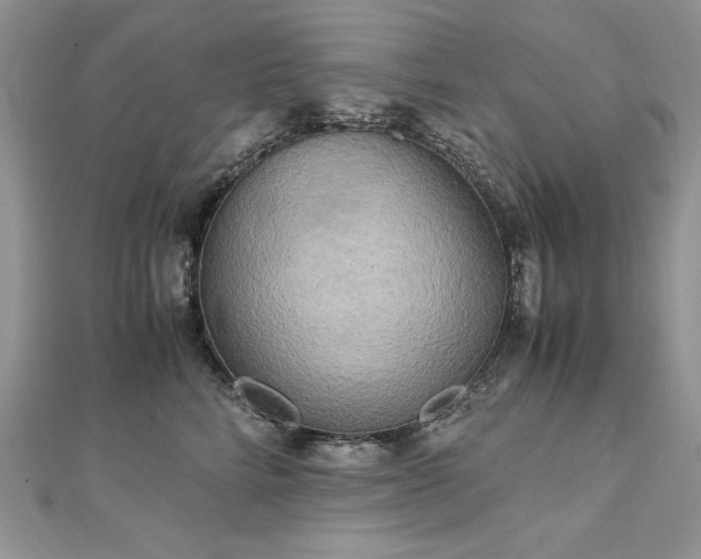 X0000113140712200909041209