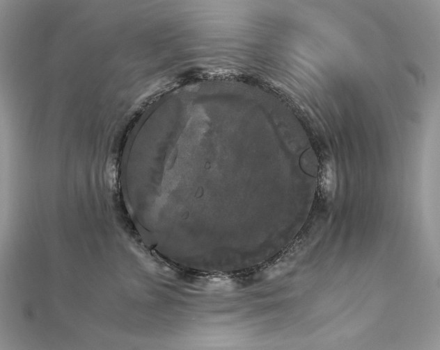 X0000113140715200909041209