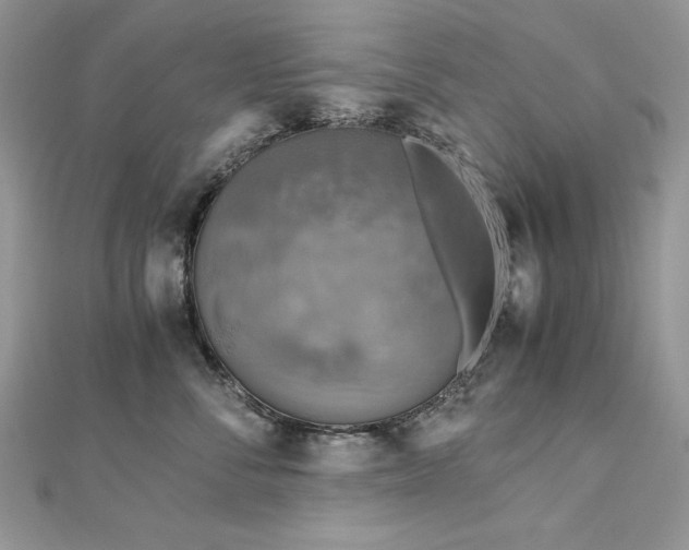 X0000113140716200909041209