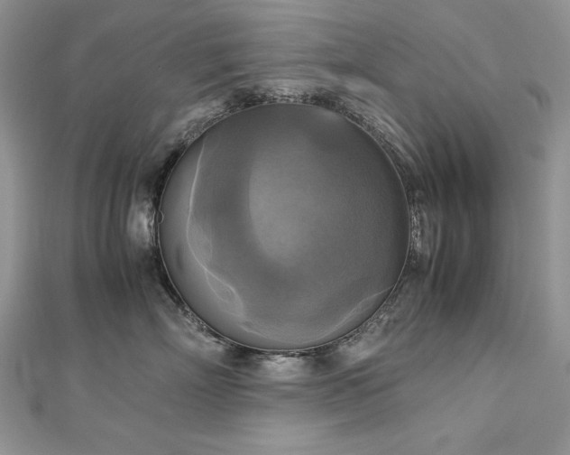 X0000113140718200909041208
