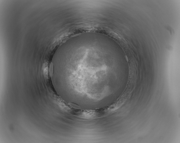 X0000113140720200909041208