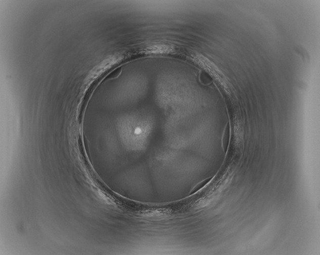 X0000113140721200909041208