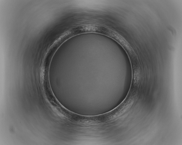 X0000113140722200909041208