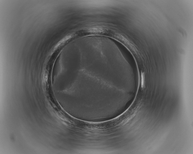 X0000113140723200909041208