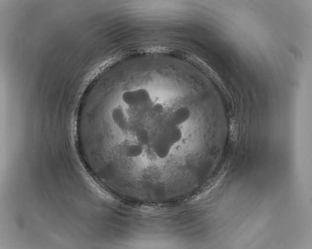 X0000113140725200909041208
