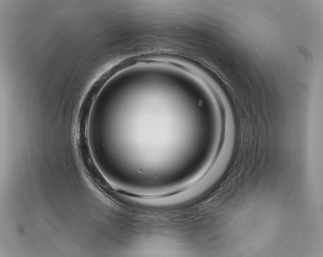 X0000113140726200909041208