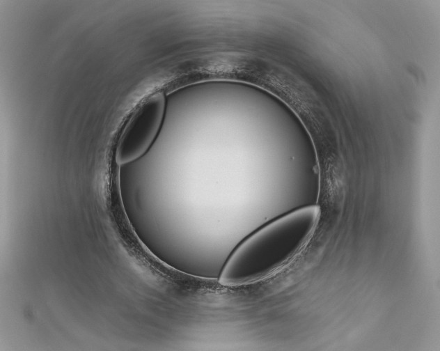 X0000113140728200909041208
