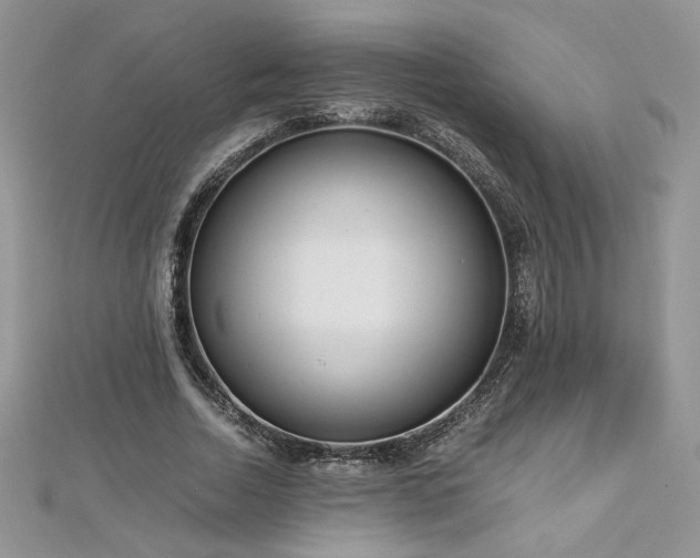 X0000113140730200909041208