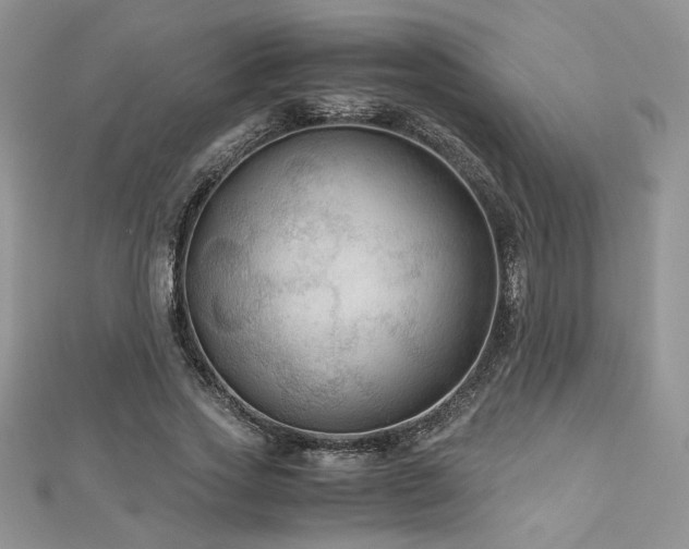 X0000113140733200909041208