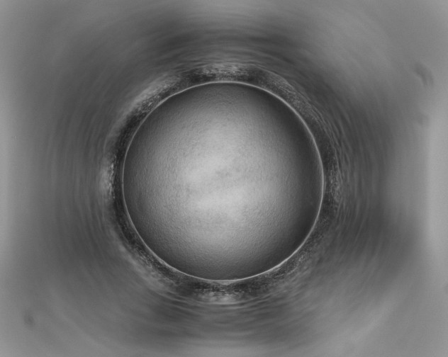 X0000113140735200909041208