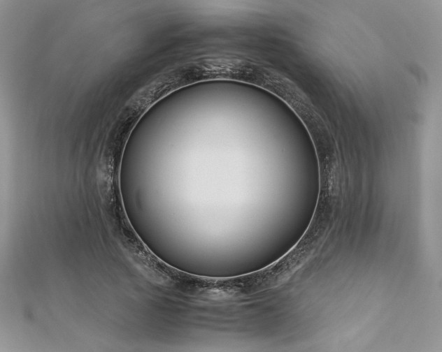 X0000113140737200909041208