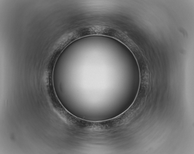 X0000113140738200909041208