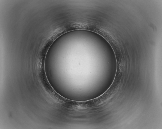 X0000113140739200909041208