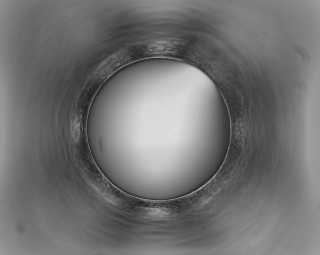 X0000113140741200909041208
