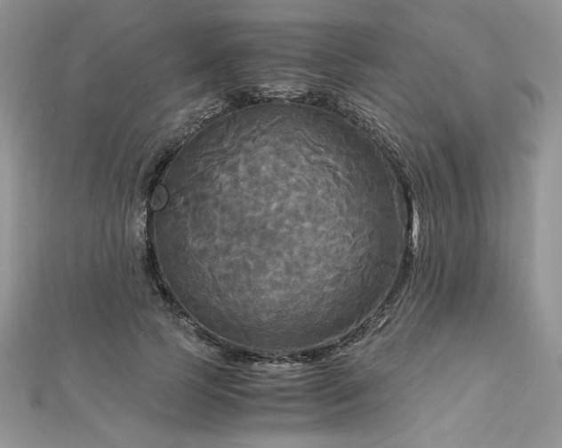 X0000113140745200909041208