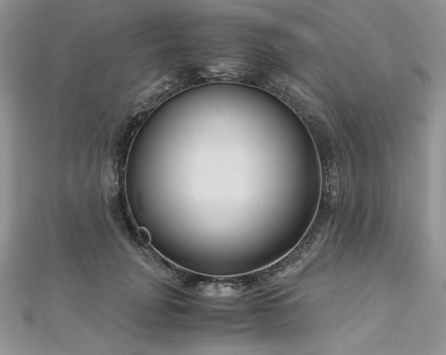 X0000113140751200909041208