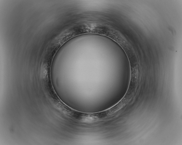 X0000113140754200909041208