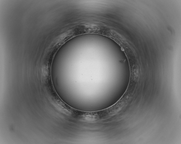 X0000113140756200909041208