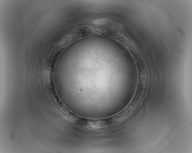 X0000113140757200909041208